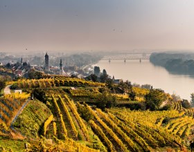 UNESCO Weltkulturerbe, © Donau Niederösterreich, Robert Herbst
